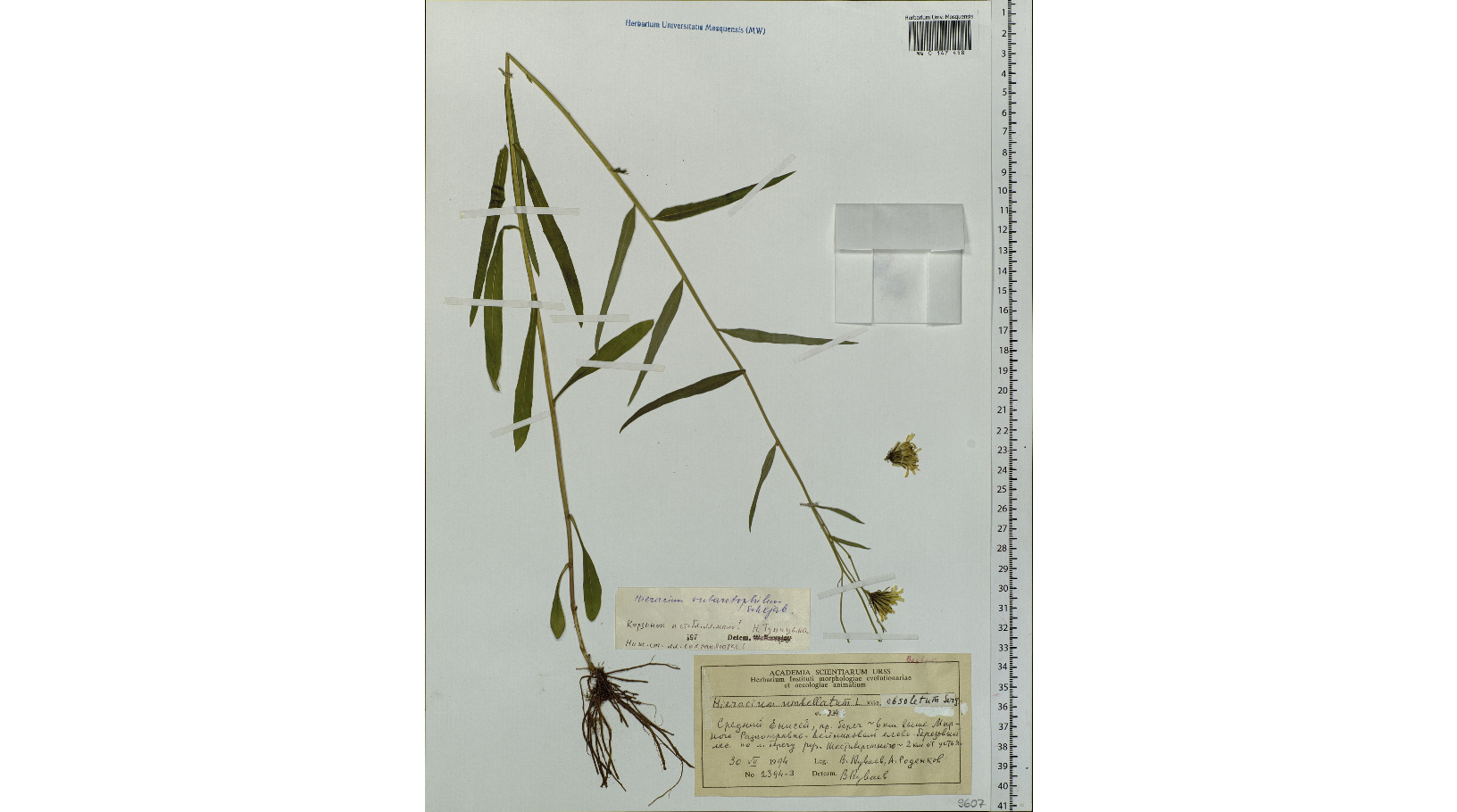 ���������� ������������������