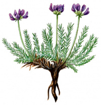 ������������� �����������������