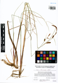 ����� ����������������