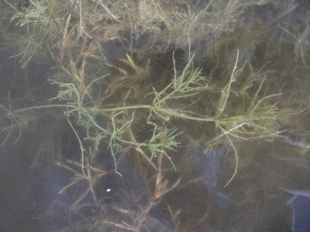 ���� ����������