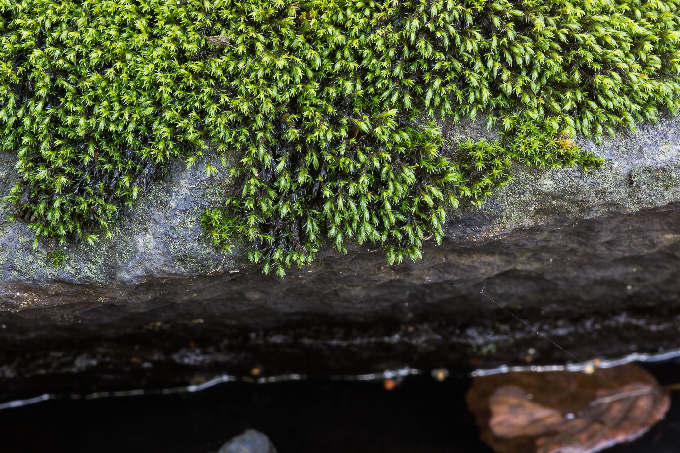 ���������� ������