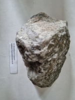 ���������� � ������-�������