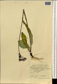 ��������� ����������