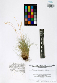 �������� �������