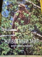 �������� ��� ���������� ������