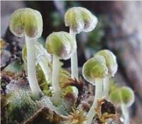 ������ ����������