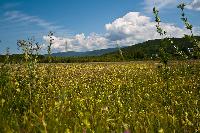 ��������� �����