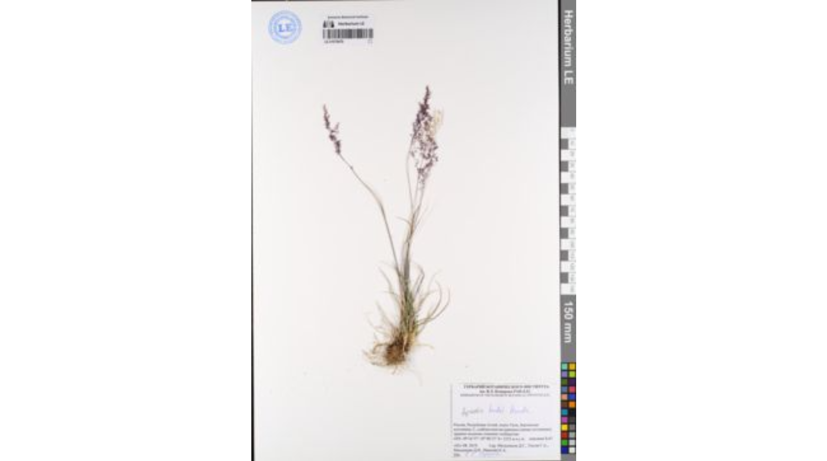 �������� ����