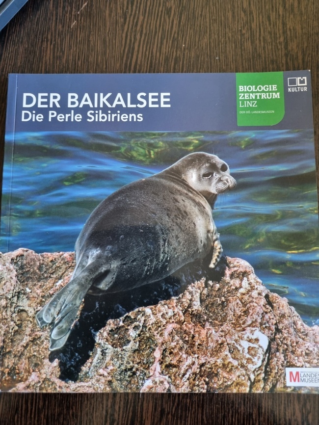 Der Baikalsee Die Perle Sibiriens
