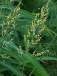 ������������ ���������