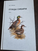 ����� ������ ��� 2