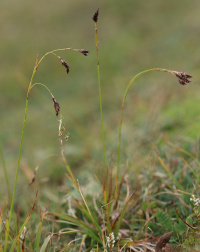 ����� ���������������