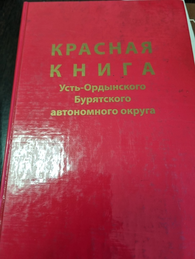 ������� ����� ����-���������� ���������� ����������� ������