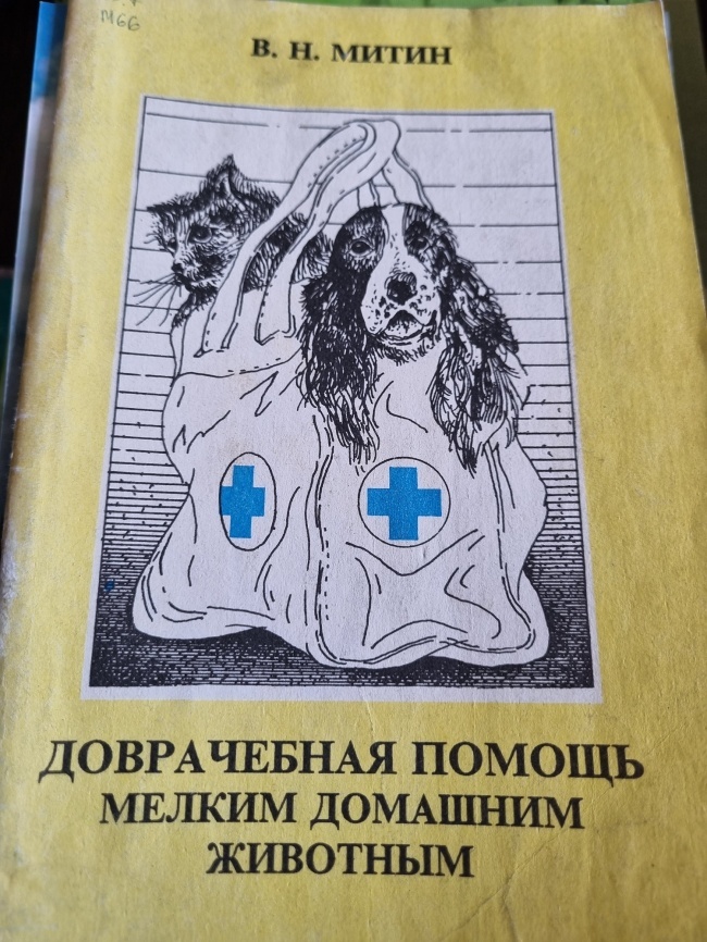 ����������� ������ ������ �������� ��������