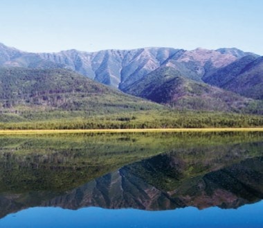 ����� �������