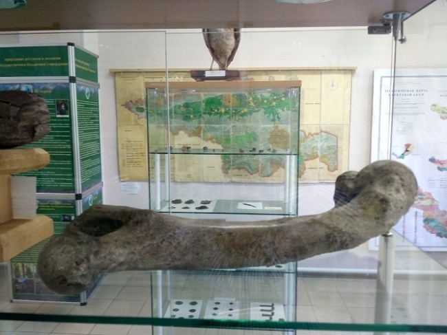 �������������� ����� ����������� ��������