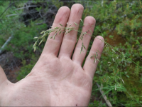 ������ ����������������