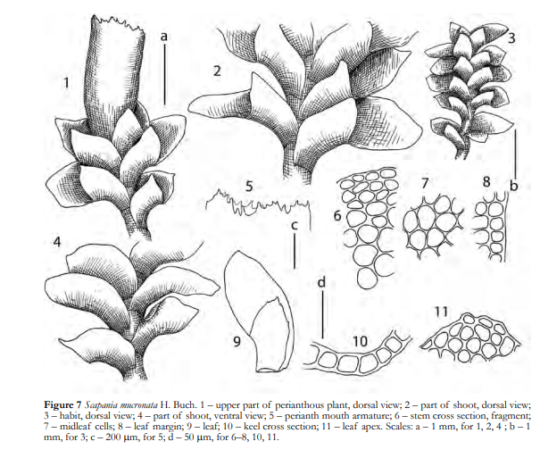 �������� ������������������