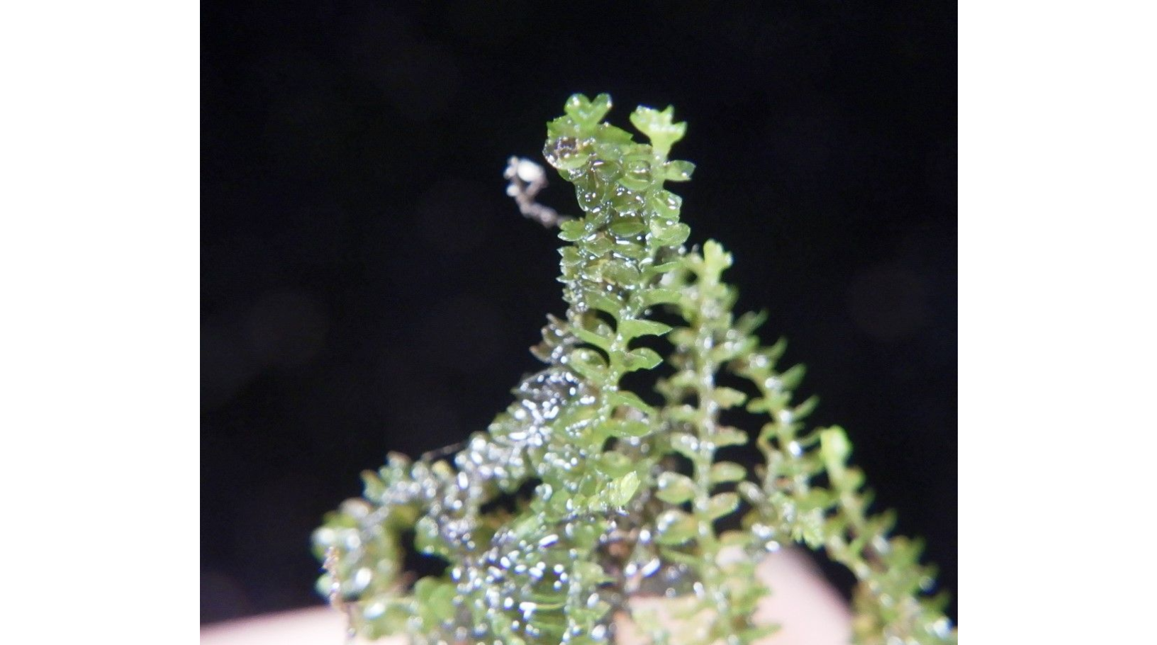 ���������� ������