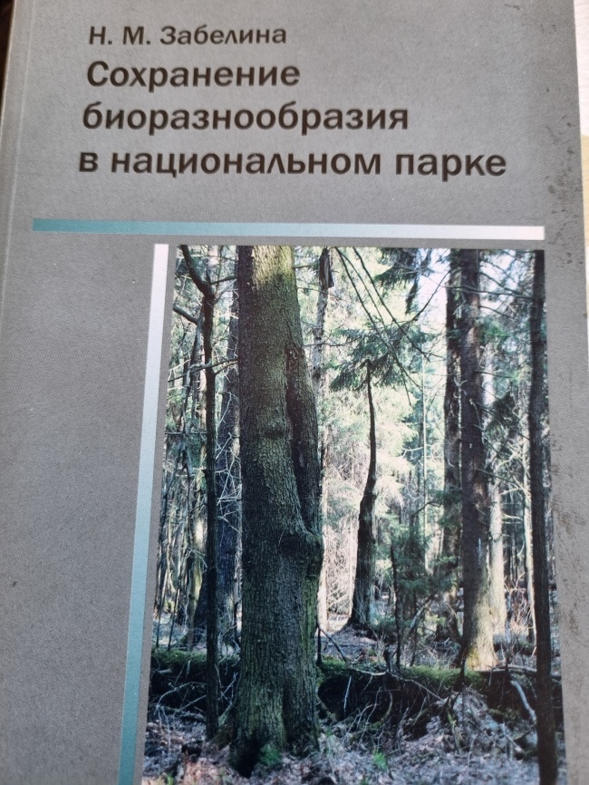 ���������� ��������������� � ������������ ����� 