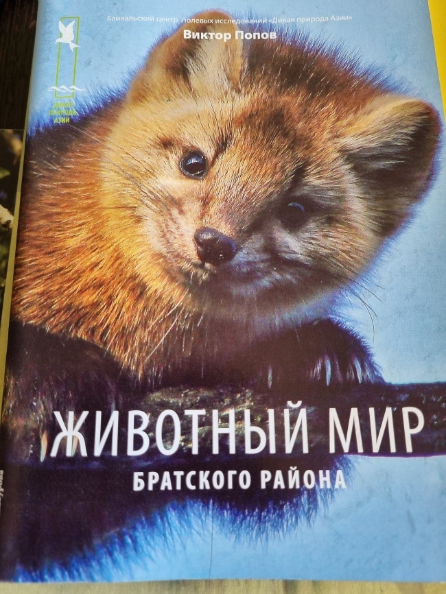 �������� ��� ��������� ������