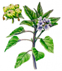 ��������� �����������