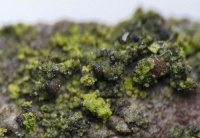 �������������� �����������������