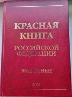 ������� ����� ��. ��� ��������. 2-� �������.