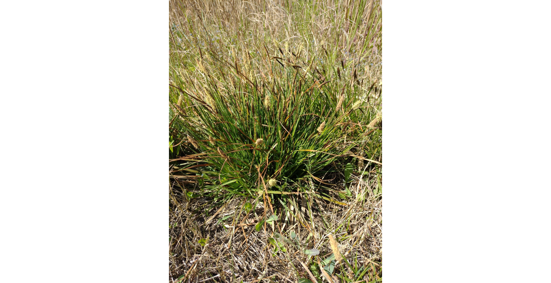 ����� �����������