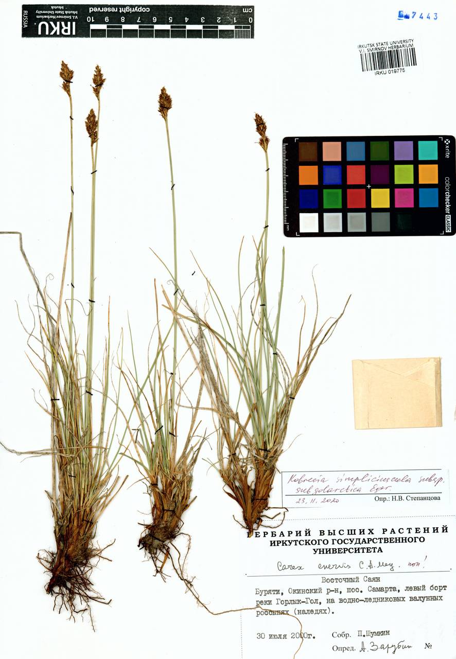 ����� �����������������