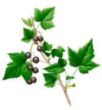 ��������� ������