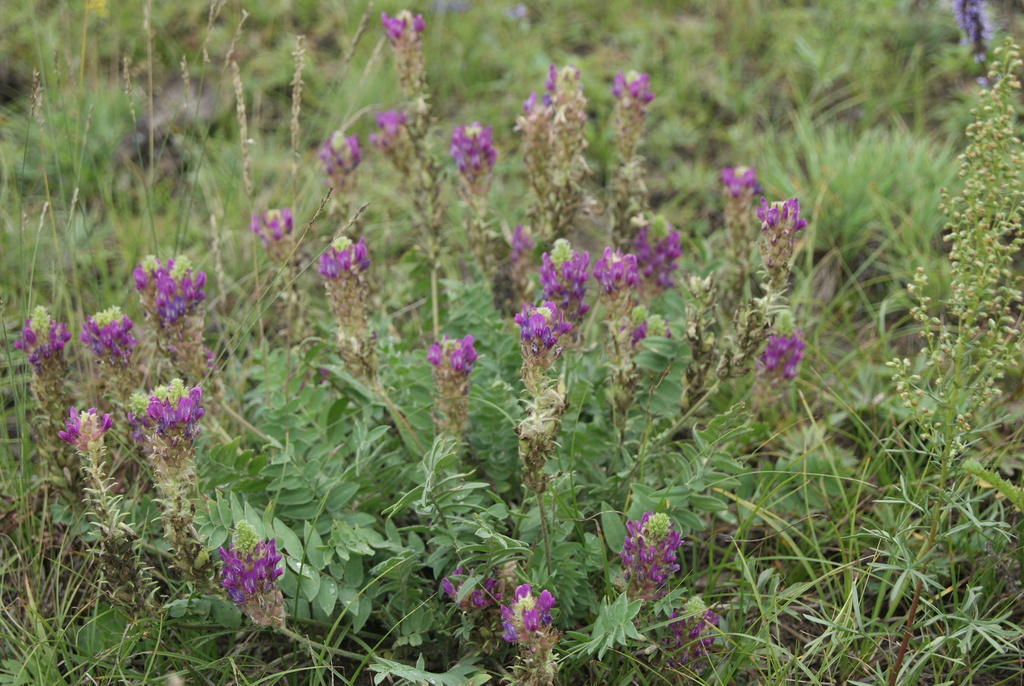 ������������� ������