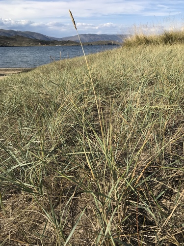 �������� ���������