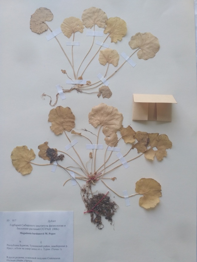 �������� ��������� ���������