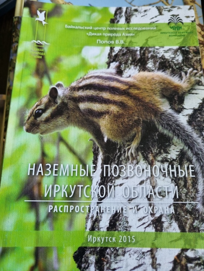 �������� ����������� ��������� �������. ��������������� � ������