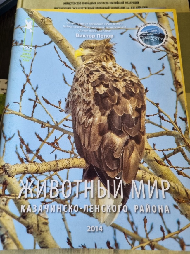 �������� ��� ����������-�������� ������