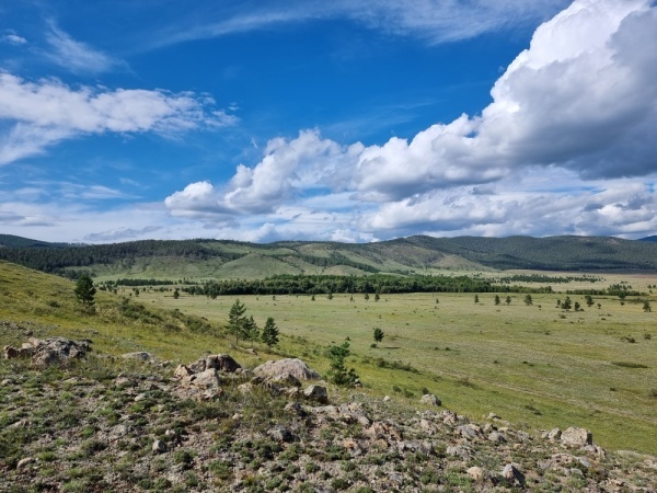 ������ ������ ��������