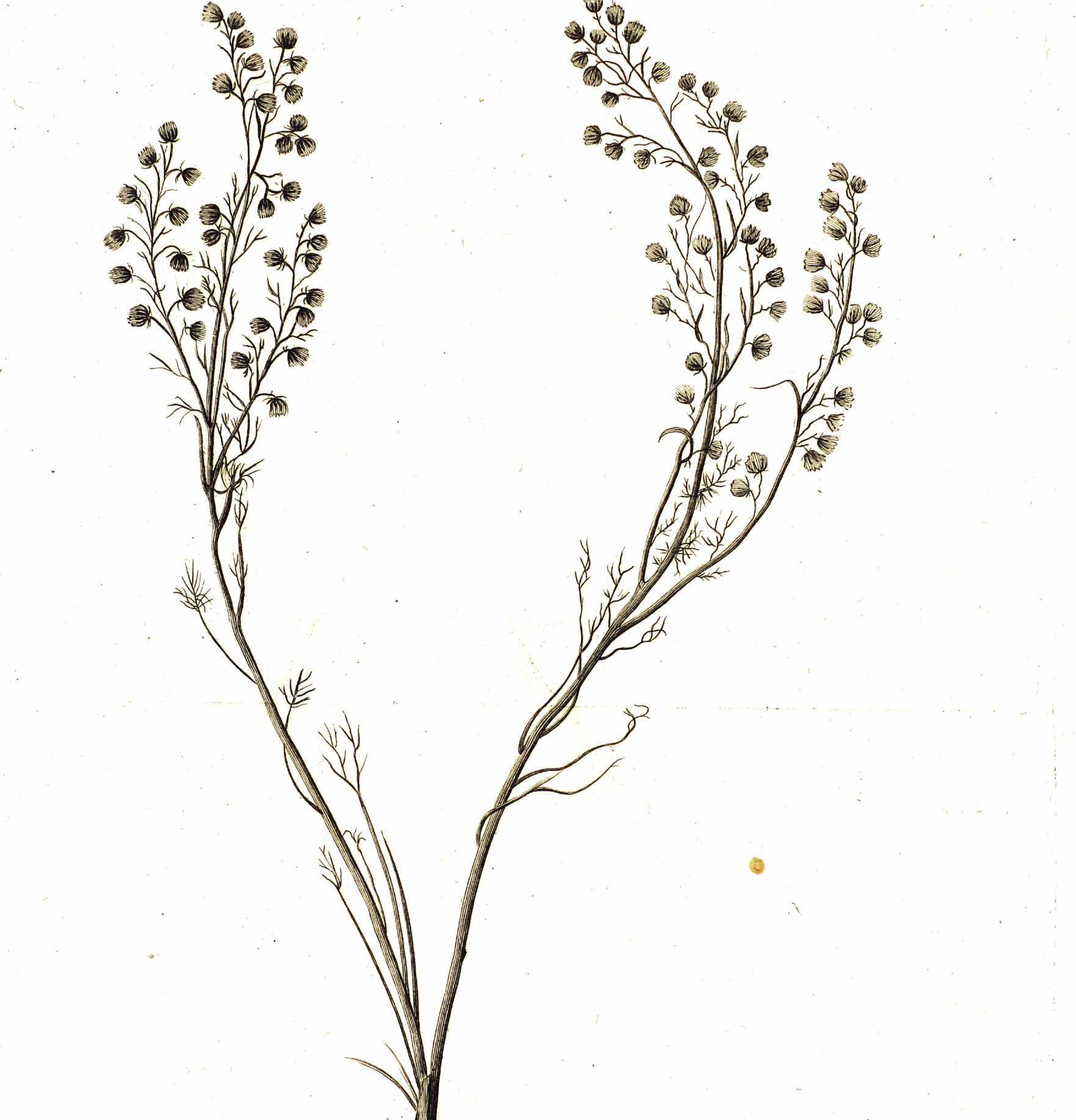 ������ �������������