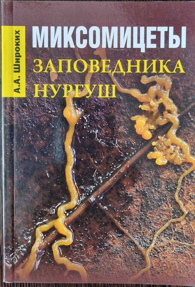 ����������� ����������� "������"