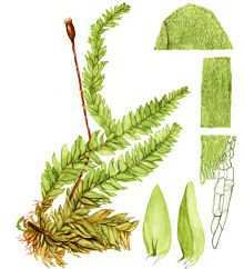 ������������ ��������������