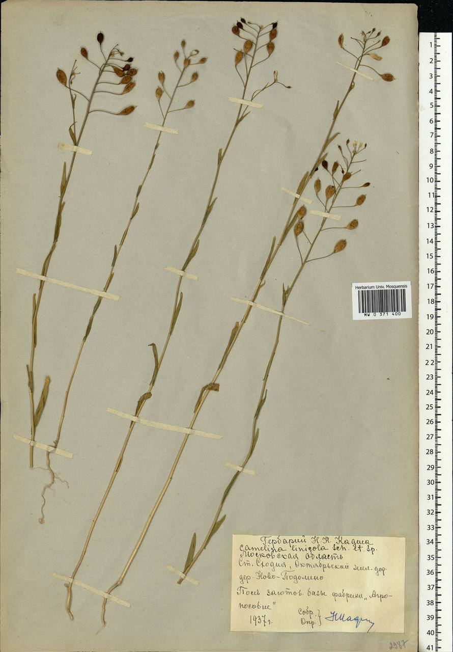 ����� ����������