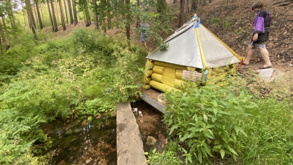 ������������ ��������