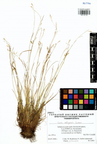 ����� ������������