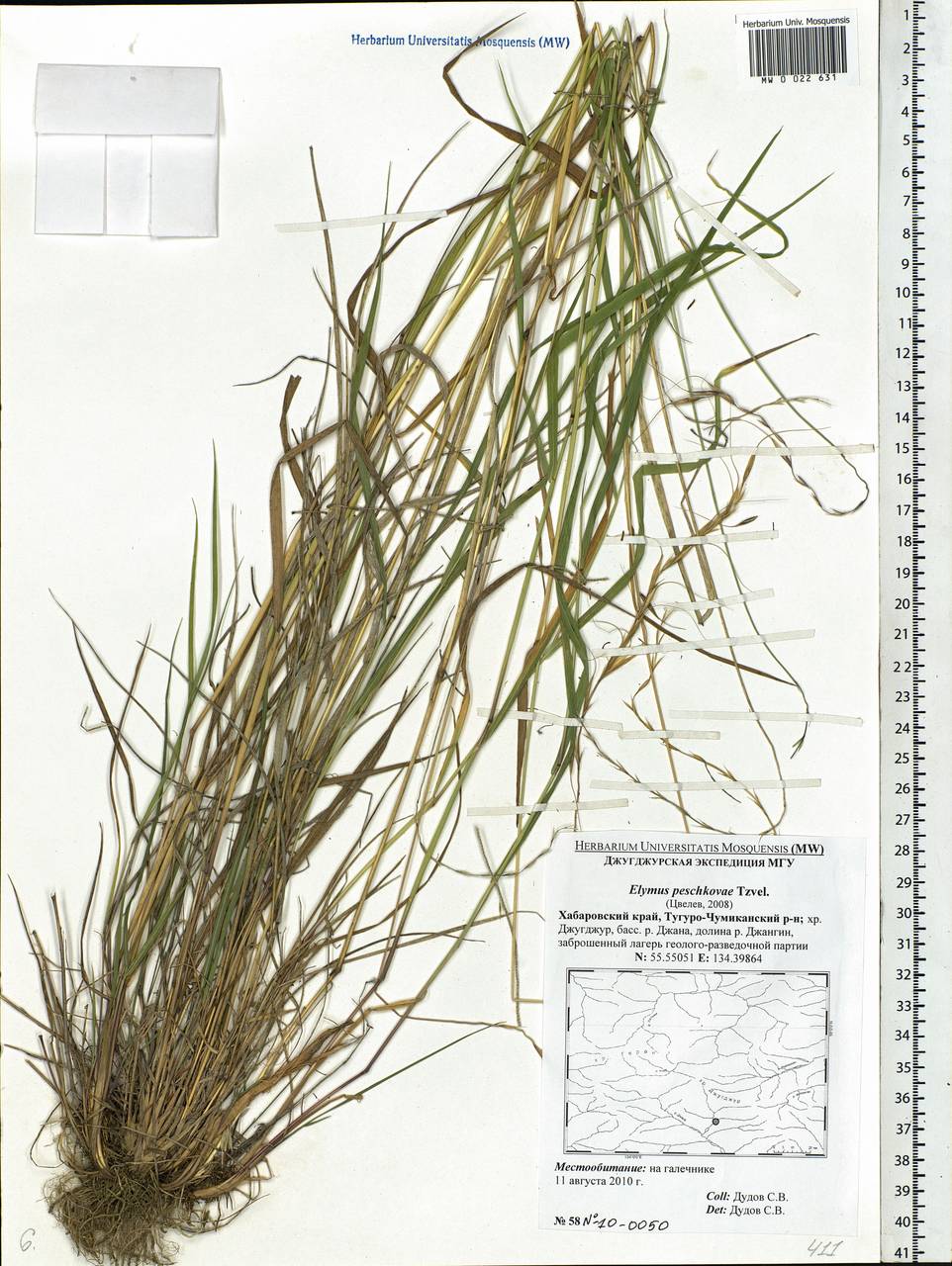 �������� ��������