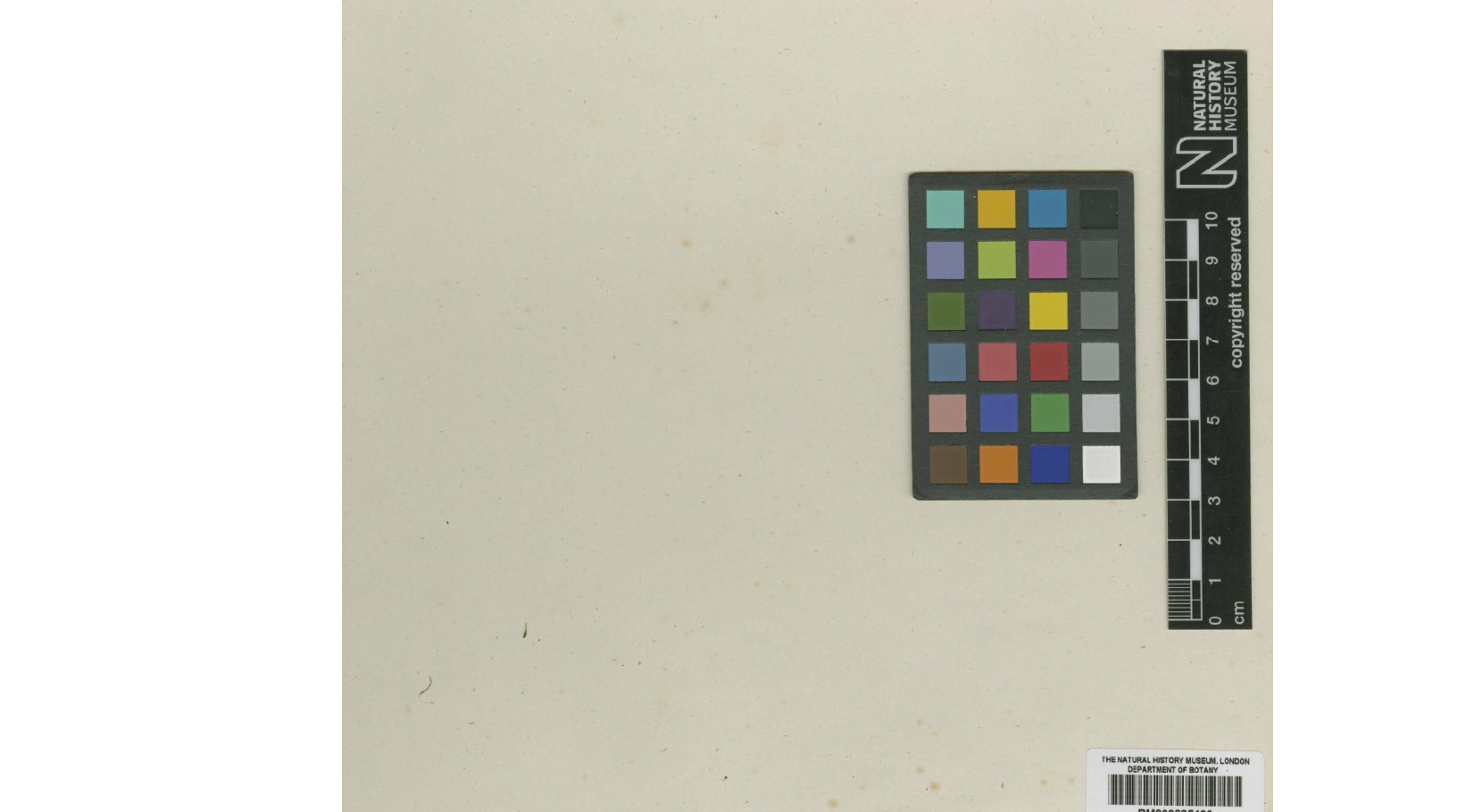 ���������� ���������������