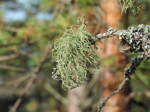 ����� ��������������, ����� ������, ����� �����������������