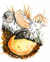 ��������� �����