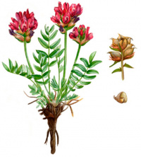 ������������� ������