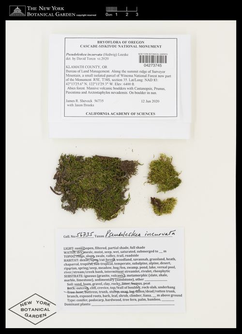 ������������ ��������