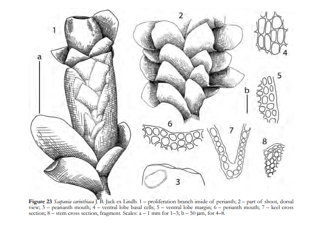 �������� ������������